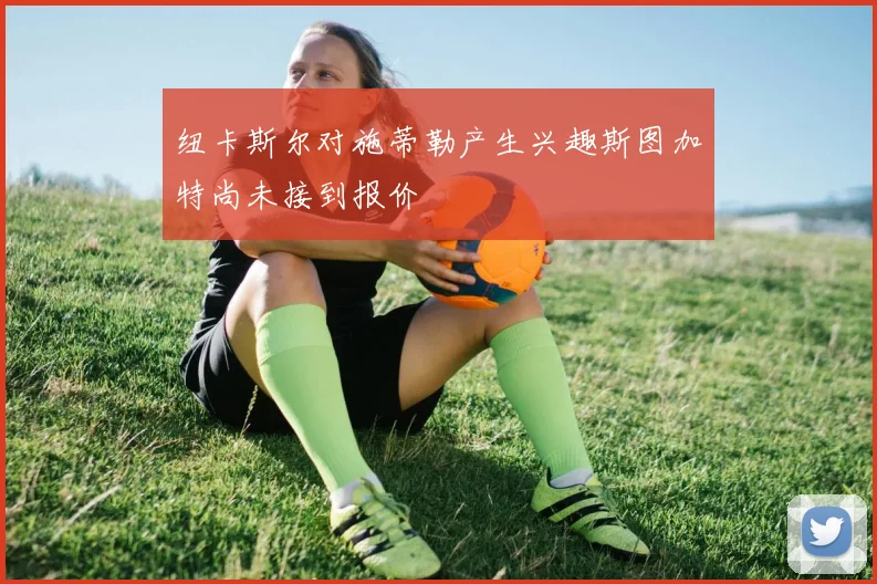 纽卡斯尔对施蒂勒产生兴趣斯图加特尚未接到报价